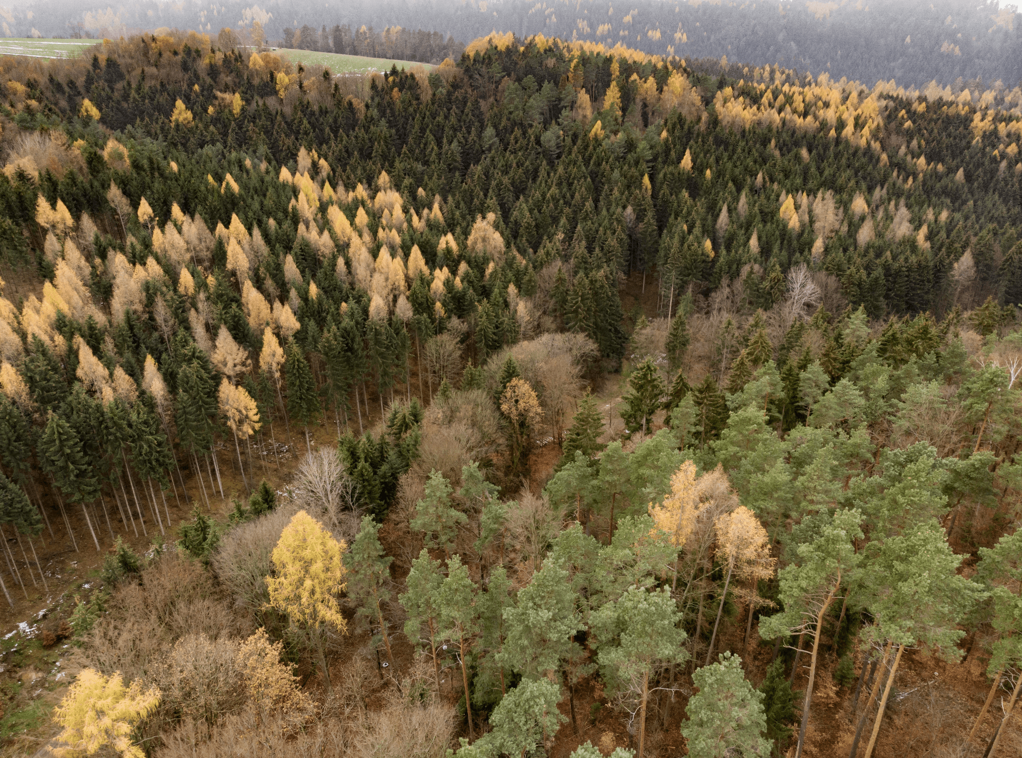 TIPII', engagée & certifiée