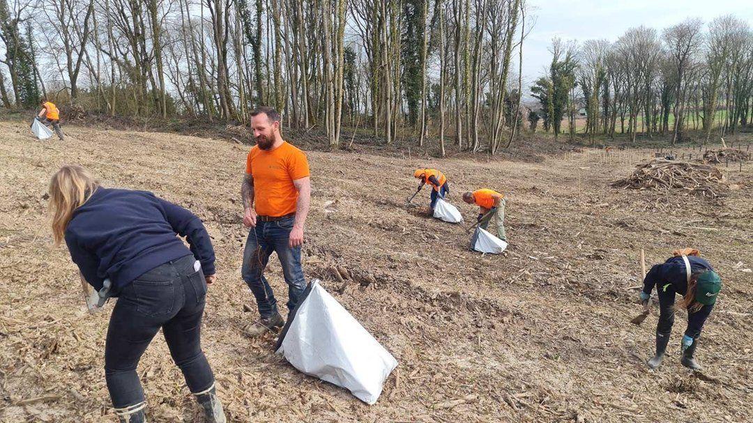 Planter des arbres, concrètement :