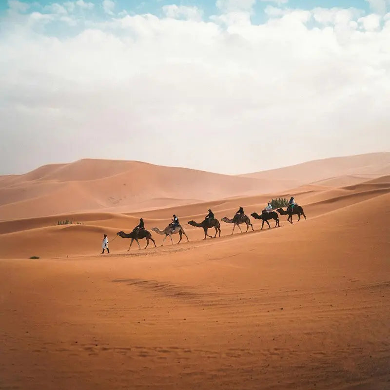 Voyage & Photo : 4 destinations à couper le souffle et à photographier absolument !