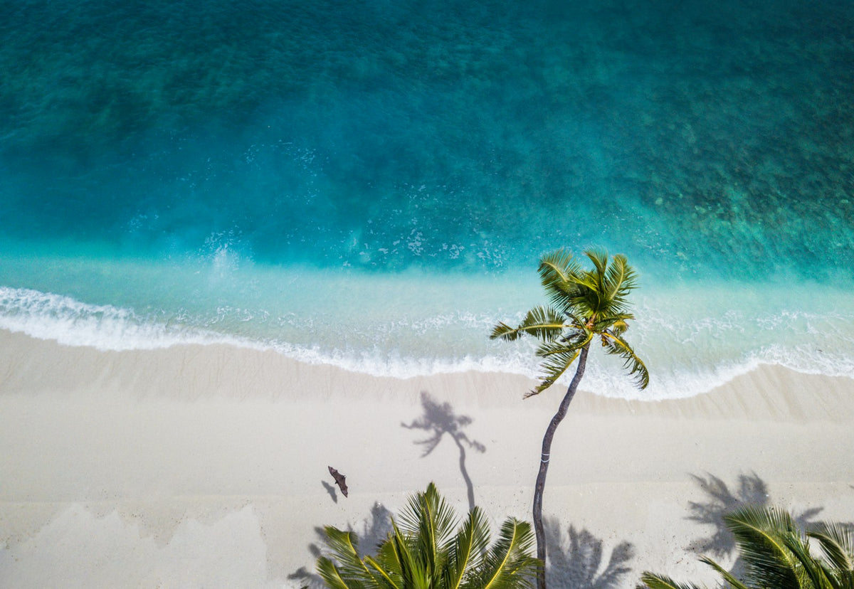 Vue aérienne d'une île tropicale avec palmiers et eau turquoise