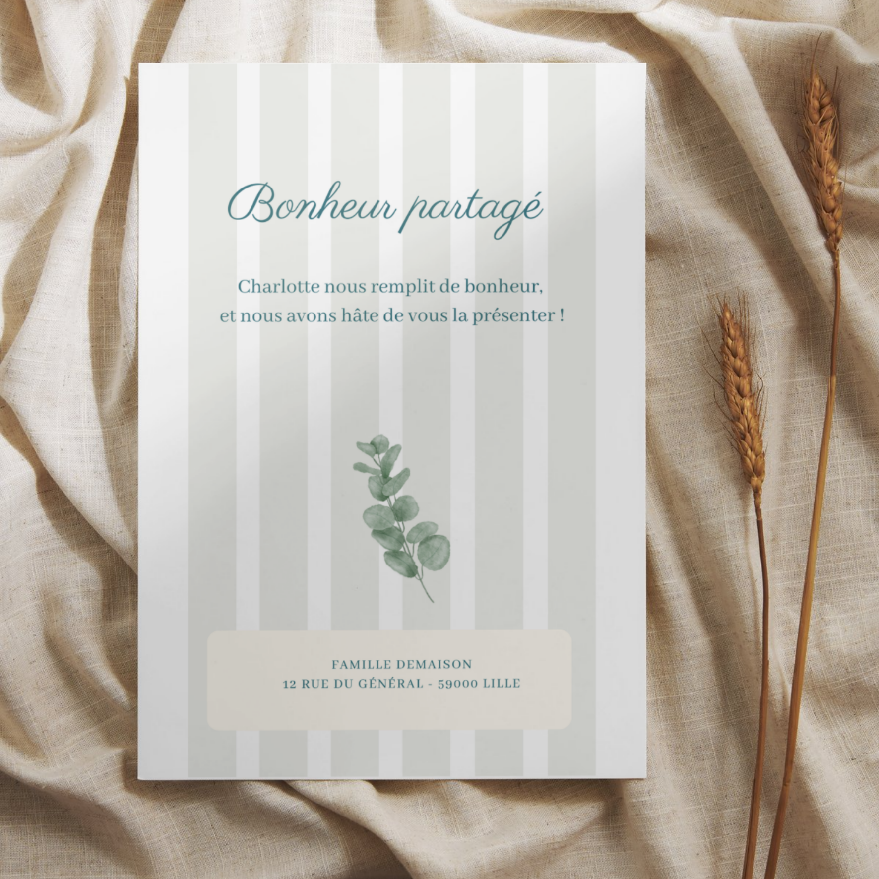 Eucalyptus | couleurs personnalisables