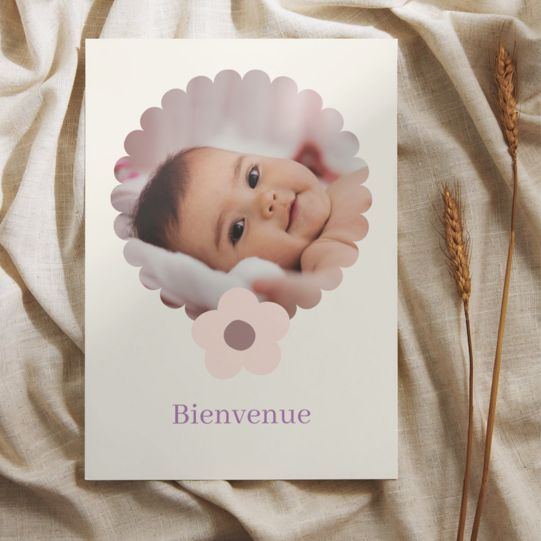Image de diapositive