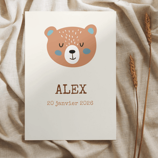 Teddy bear | colors to choose from